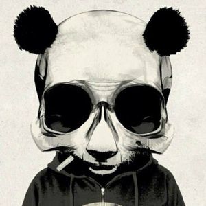 Meet your Posher, Yamil